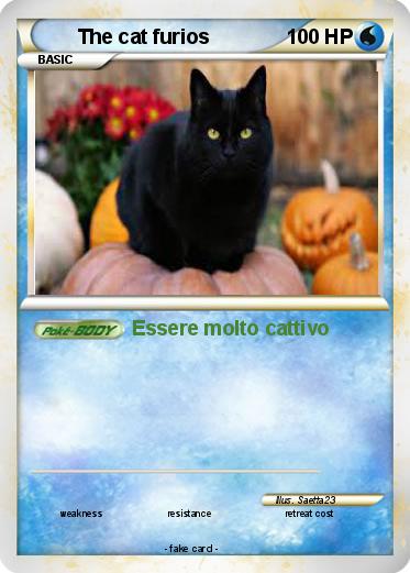 Pokemon The cat furios