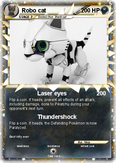 Pokemon Robo cat