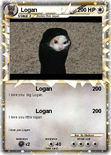 Pokemon Logan