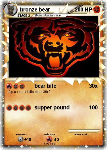 Pokemon bronze bear