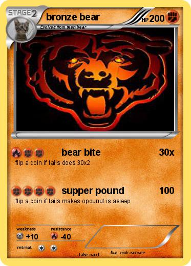 Pokemon bronze bear