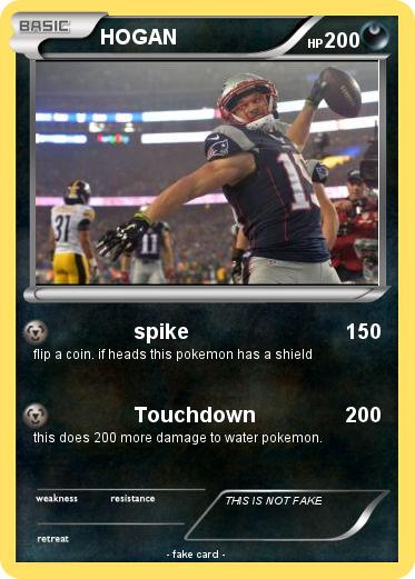 Pokemon HOGAN