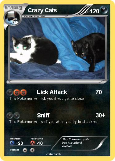 Pokemon Crazy Cats