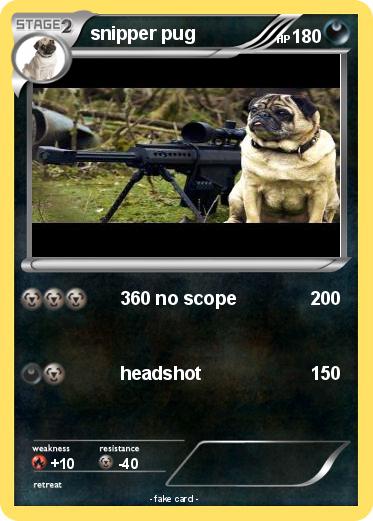 Pokemon snipper pug