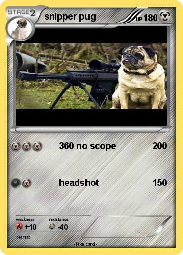 Pokemon snipper pug