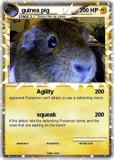 Pokemon guinea pig