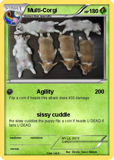 Pokemon Multi-Corgi