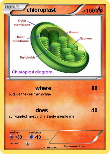 Pokemon chloroplast