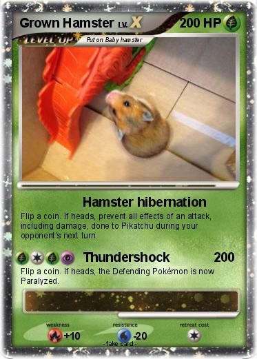 Pokemon Grown Hamster