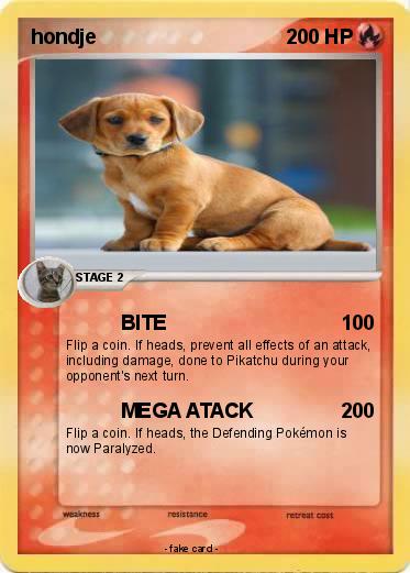 Pokemon hondje
