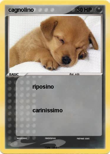 Pokemon cagnolino