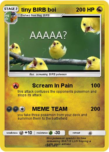 Pokemon tiny BIRB boi