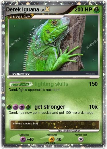 Pokemon Derek Iguana