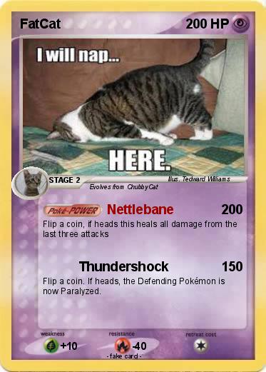 Pokemon FatCat