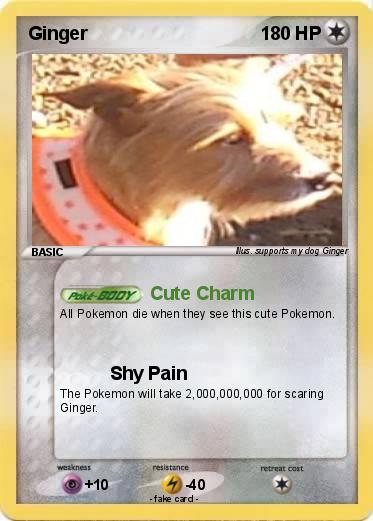 Pokemon Ginger