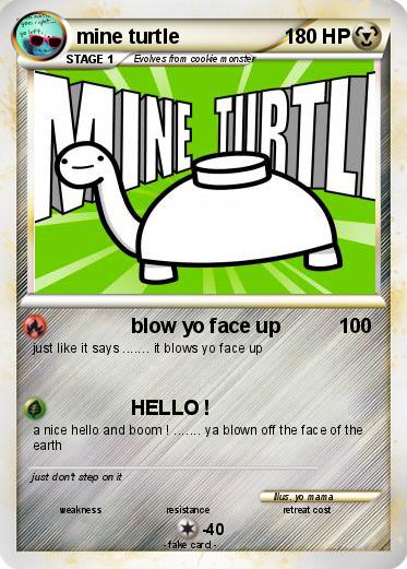 Pokemon mine turtle