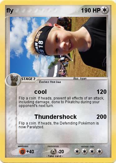 Pokemon fly