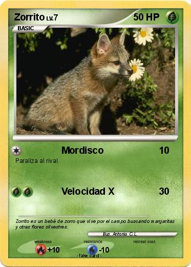 Pokemon Zorrito