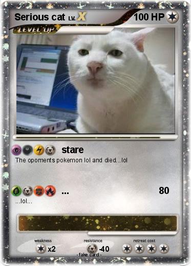 Pokemon Serious cat