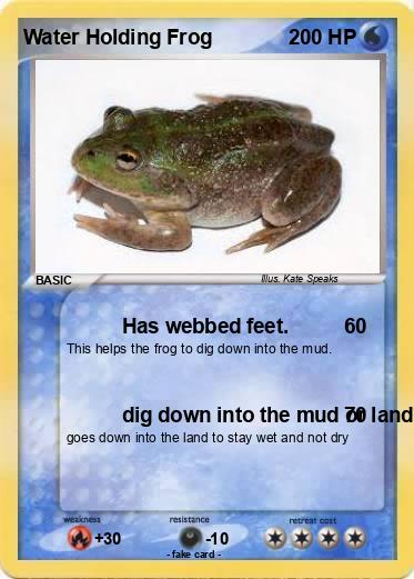 Pokemon Water Holding Frog