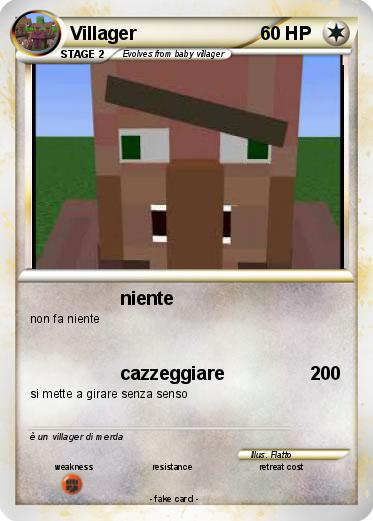 Pokemon Villager