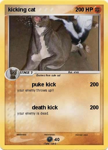 Pokemon kicking cat