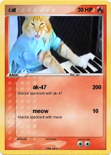 Pokemon cat