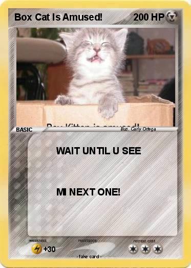 Pokemon Box Cat Is Amused!