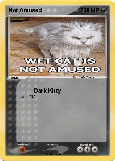 Pokemon Not Amused