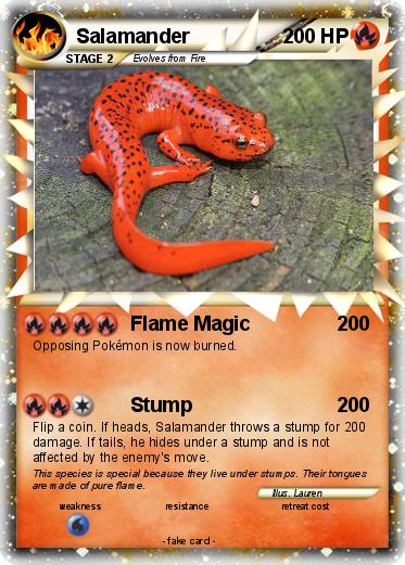 Pokemon Salamander