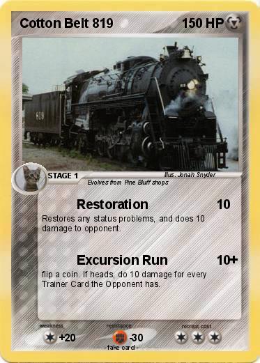 Pokemon Cotton Belt 819