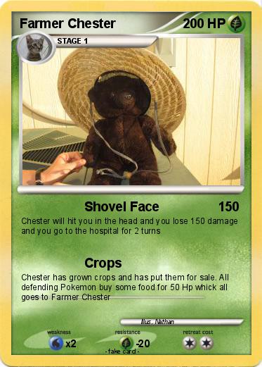 Pokemon Farmer Chester