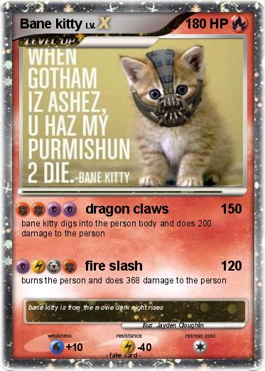 Pokemon Bane kitty