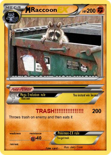 Pokemon Raccoon