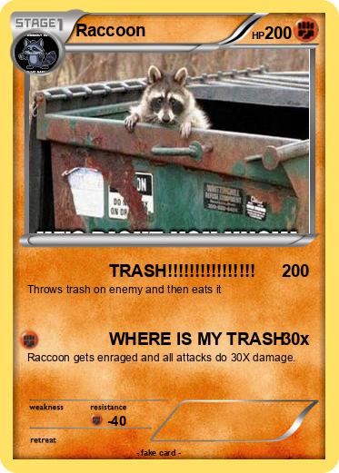 Pokemon Raccoon