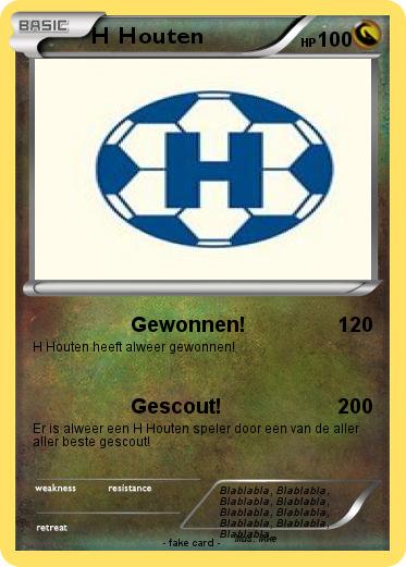 Pokemon H Houten
