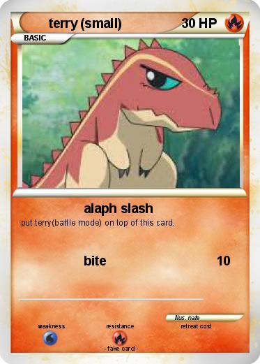 Pokemon terry (small)