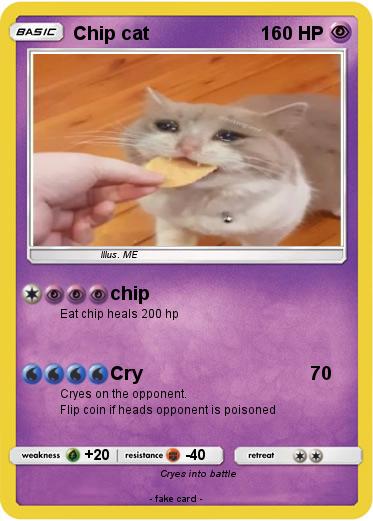 Pokemon Chip cat