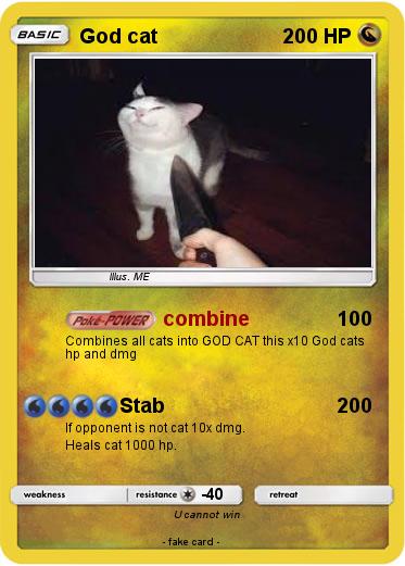 Pokemon God cat