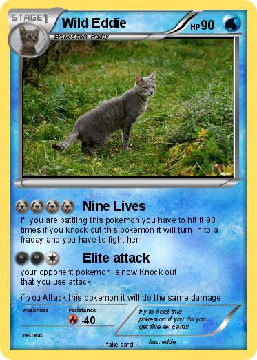 Pokemon Wild Eddie
