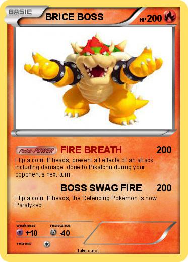 Pokemon BRICE BOSS