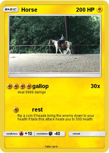 Pokemon Horse