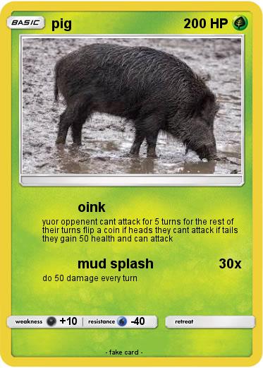 Pokemon pig
