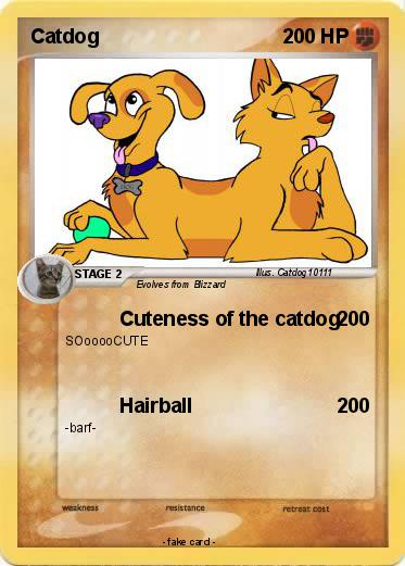 Pokemon Catdog
