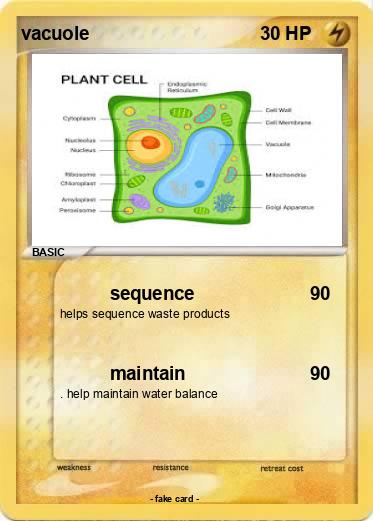 Pokemon vacuole