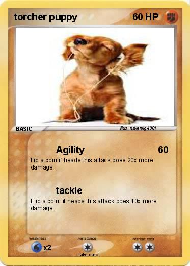 Pokemon torcher puppy