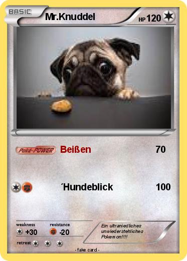 Pokemon Mr.Knuddel