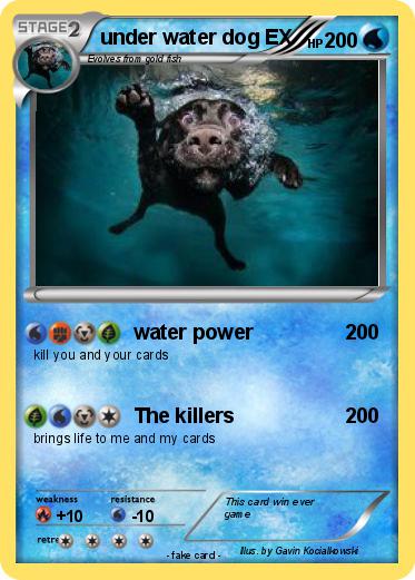 Pokemon under water dog EX