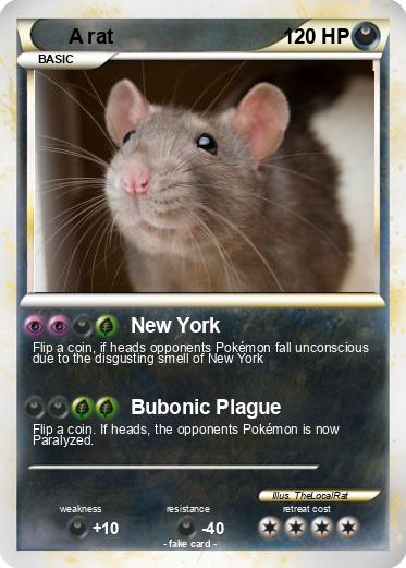 Pokemon A rat