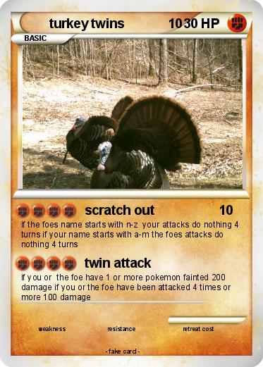 Pokemon turkey twins            10